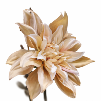 Dahlia Art Tree Beige #1 (Inclusief vaas)